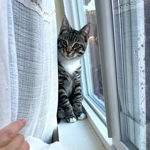 Meet your Posher, Barbara